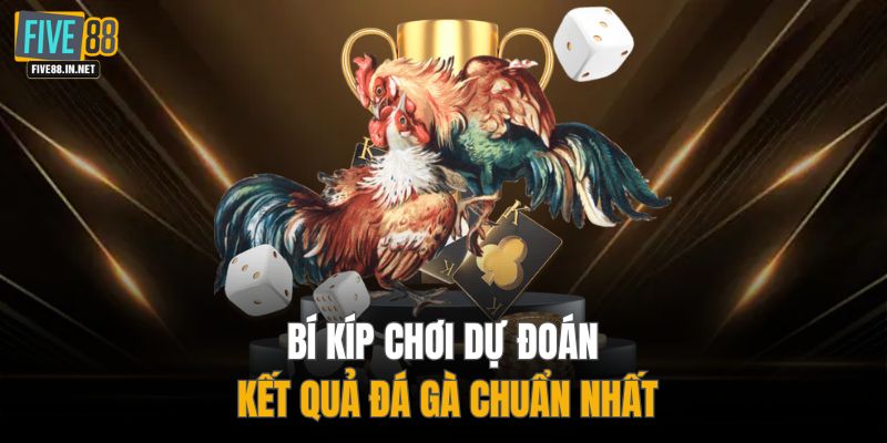 Bí kíp chơi dự đoán kết quả đá gà chuẩn nhất
