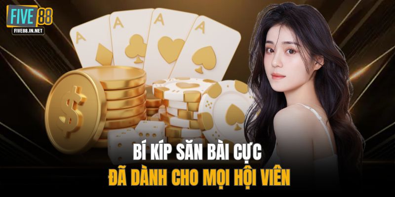 Bí kíp săn bài cực đã dành cho mọi hội viên