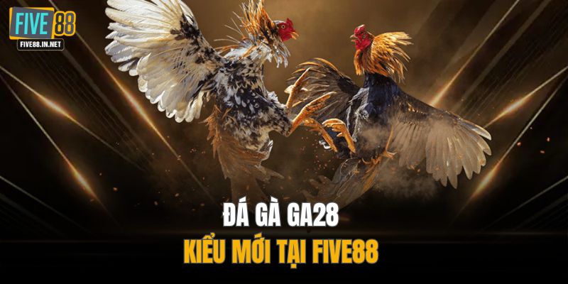 Đá gà GA28 kiểu mới tại FIVE88