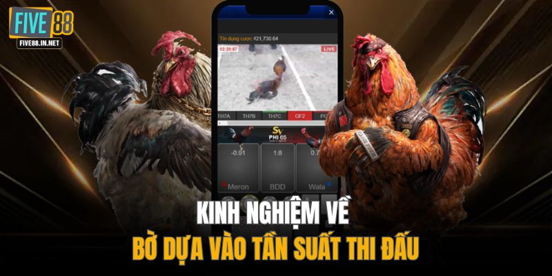 Kinh nghiệm về bờ dựa vào tần suất thi đấu