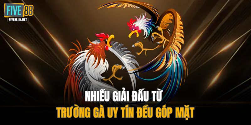 Nhiều giải đấu từ trường gà uy tín đều góp mặt