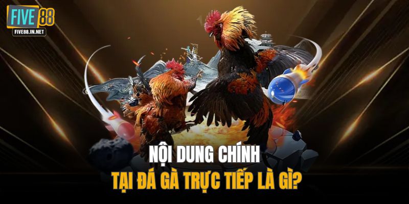 Nội dung chính tại đá gà trực tiếp là gì?