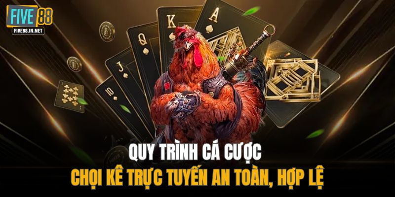 Quy trình cá cược chọi kê trực tuyến an toàn, hợp lệ