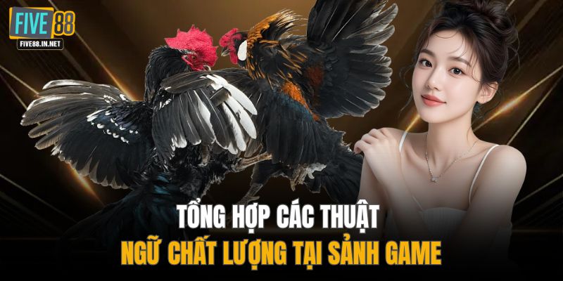 Tổng hợp các thuật ngữ chất lượng tại sảnh game